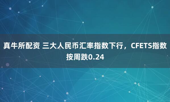 真牛所配资 三大人民币汇率指数下行，CFETS指数按周跌0.24